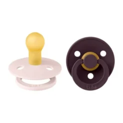 BiBs Colour Fopspeen - Rond - 2 Stuks - 6-18 Mnd - Petal/Plum