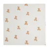 Jollein Teddy Bear Multidoek Hydrofiel Small 3 Stuks