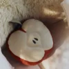 Lorena Canals Kussen - Apple