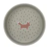 Lässig Little Forest Fox Kom